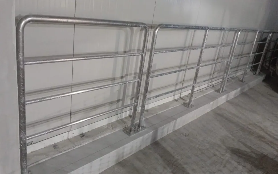 Canopy and public access steel frame